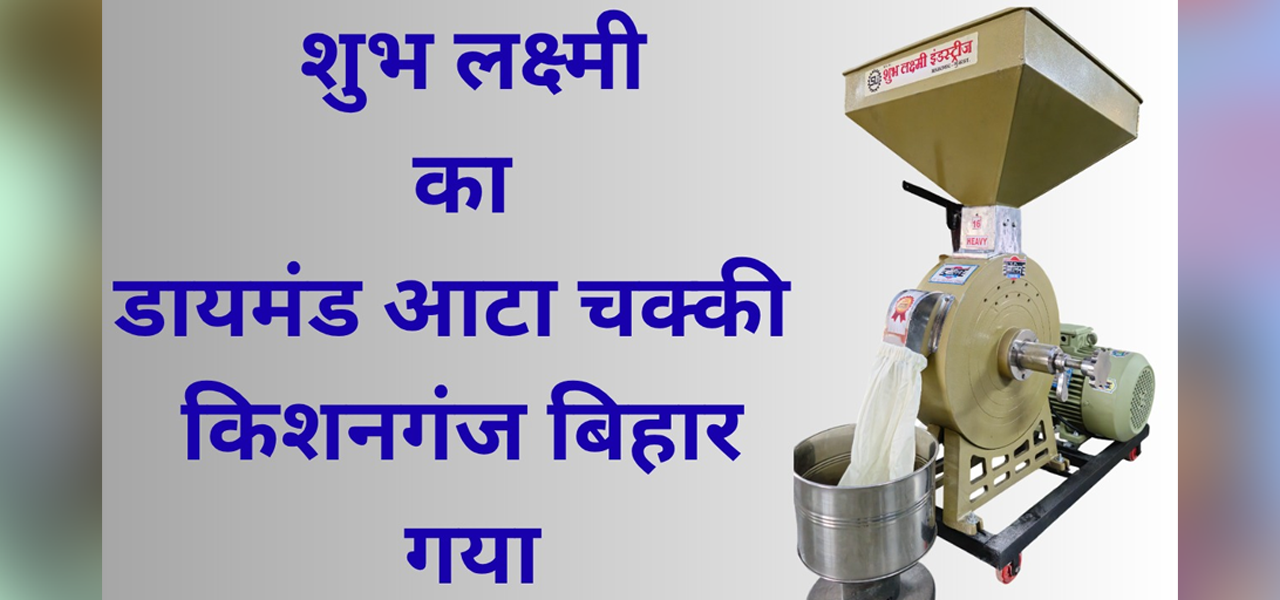 16 Diamond Commercial Atta Chakki